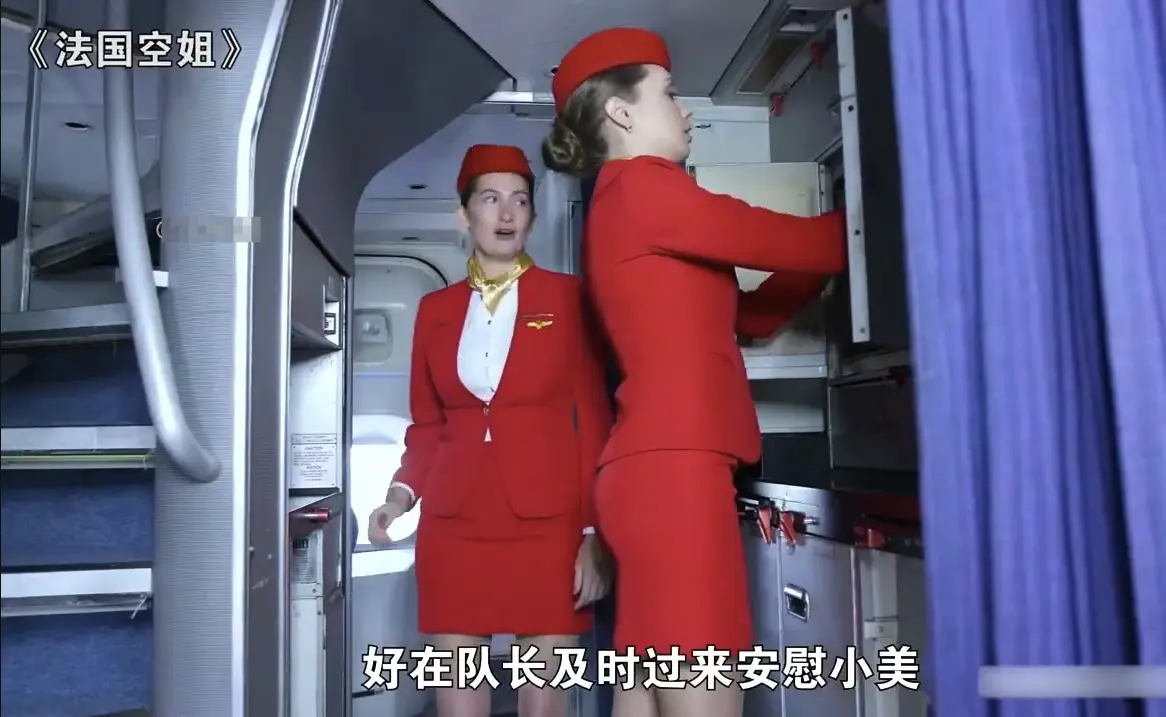 《法国空姐》完整版在线观看-法国经典电影高清免费获取-720P版本无删减播放-她曾以为自己是飞鸟却发现天空也有边界