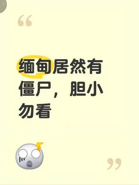 高清无删减《缅甸僵尸出土事件》完整版在线观看 - 揭秘缅北僵尸出土事件真相 - 《缅甸僵尸出土事件》最新视频免费播放