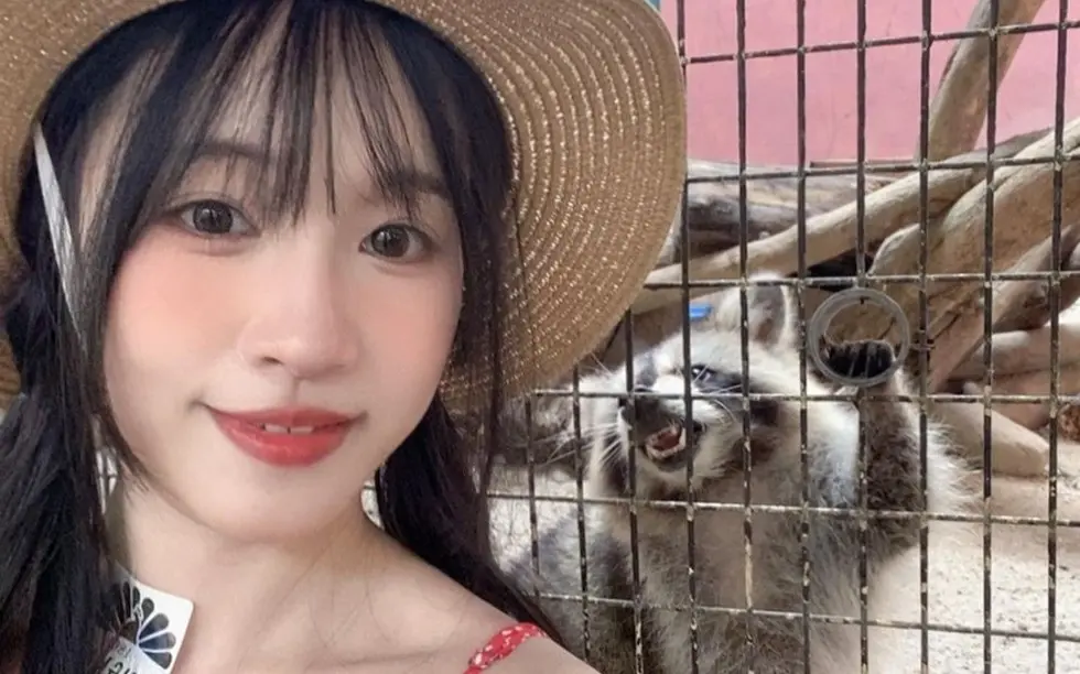 国产女神《苏畅》vlog视频大全-1080p高清在线观看-《苏畅》全集免费观看无删减