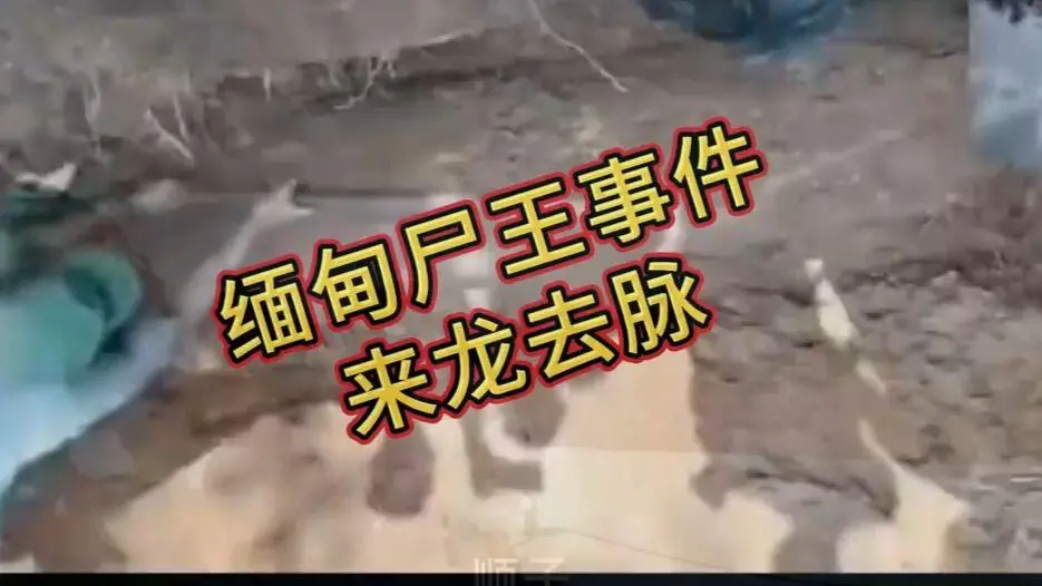在线观看《缅甸僵尸出土事件视频》高清完整版 - 缅北僵尸出土事件始末资源下载全程录像无删减 - 超清未删减视频免费播放